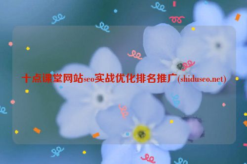 十点课堂网站seo实战优化排名推广(shiduseo.net)